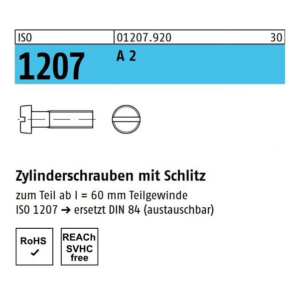 ISO 1207 - Zylinderschraube mit Schlitz A2  / M10 x 100 // 25 Stück
