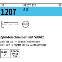 ISO 1207 - Zylinderschraube mit Schlitz A2  / M10 x 100 // 25 Stück