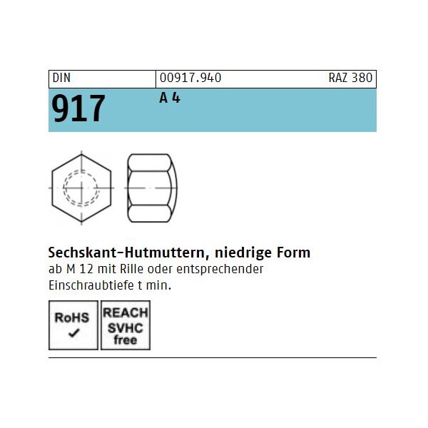 DIN  917 - Hutmutter A4  / M 5 // 200 Stück